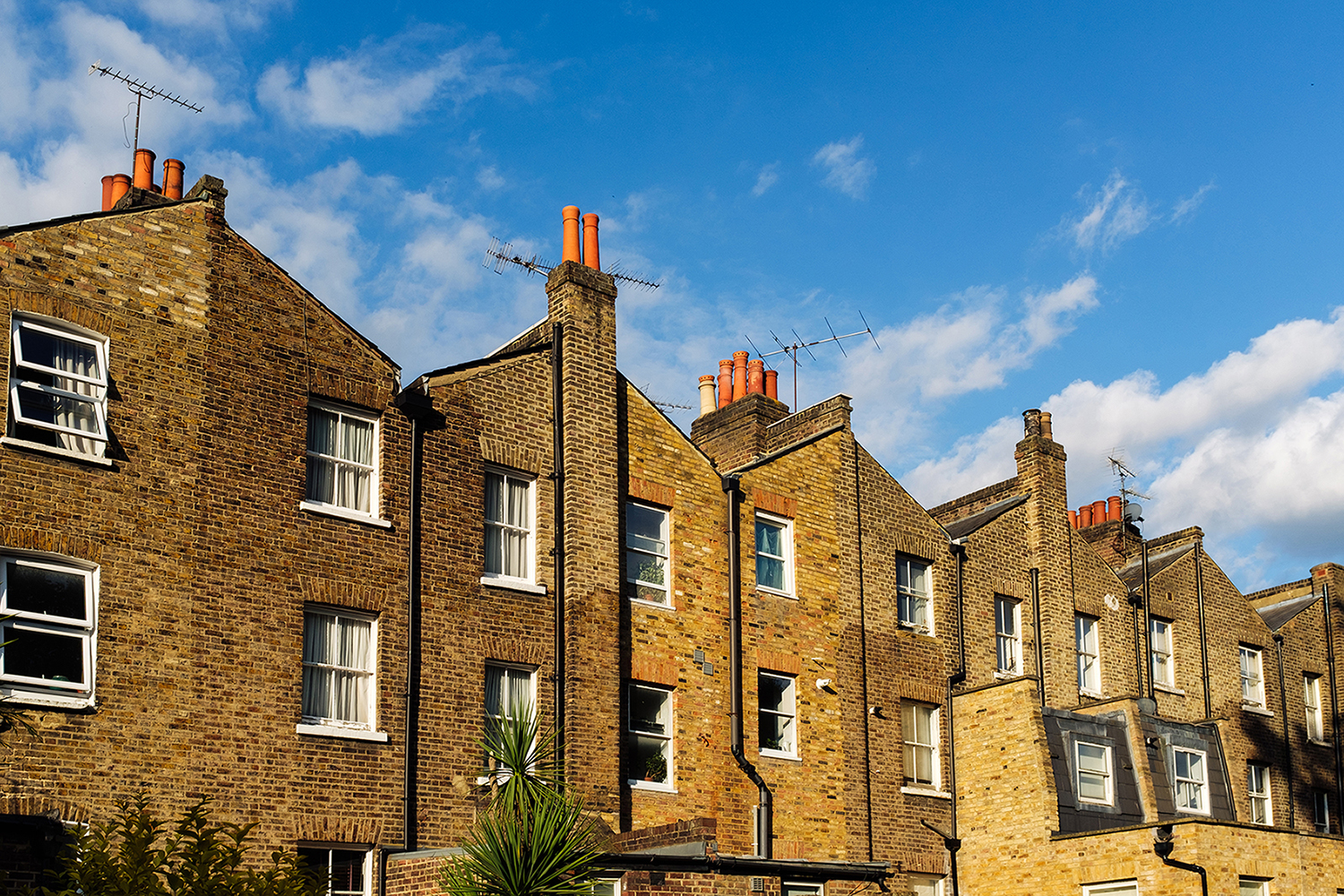 Terraced roofs in brighton Terraced roofs in brighton